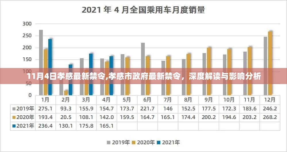 孝感市政府最新禁令深度解读与影响分析，11月4日孝感禁令更新解读