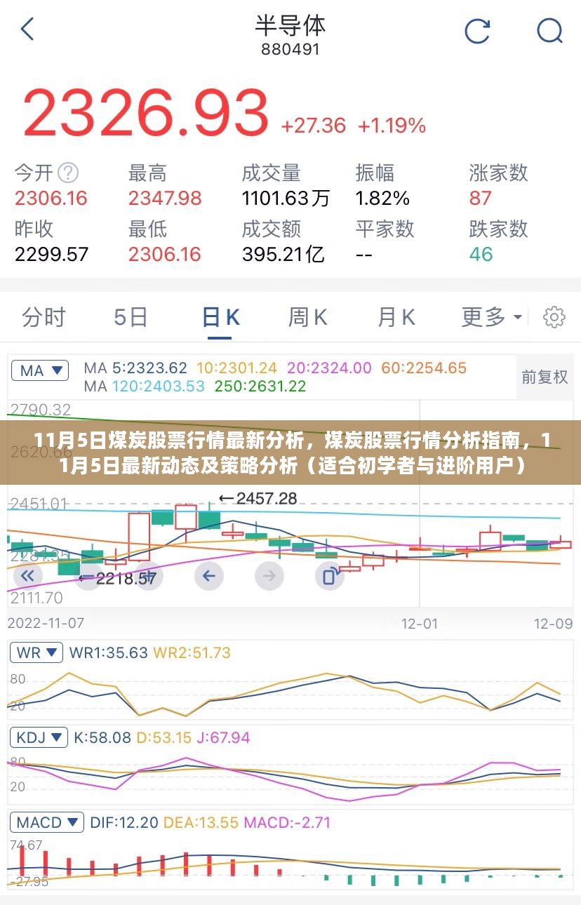 11月5日煤炭股票行情深度解析，初学者与进阶用户的策略指南