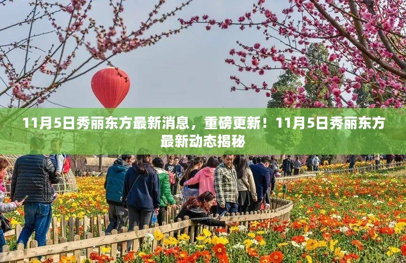 11月5日秀丽东方最新动态揭秘，重磅更新消息