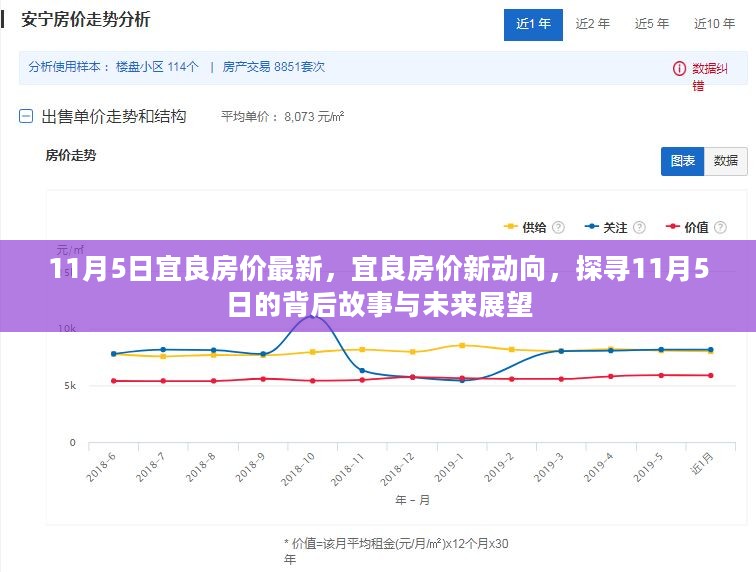 2024年11月5日 第43页