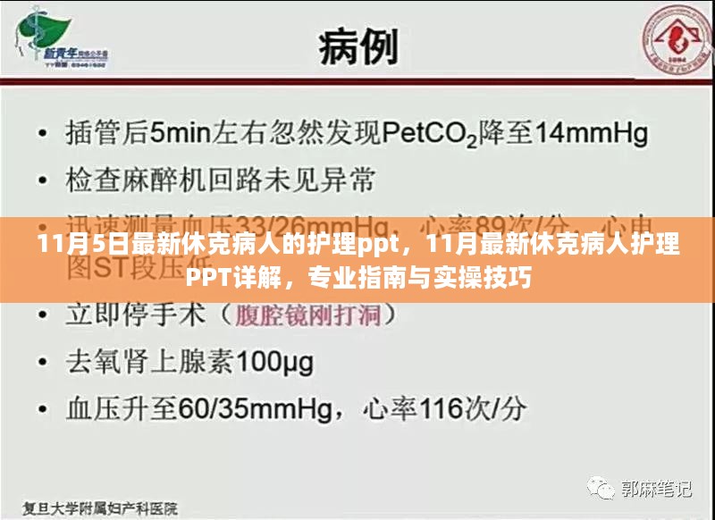 2024年11月5日 第42页