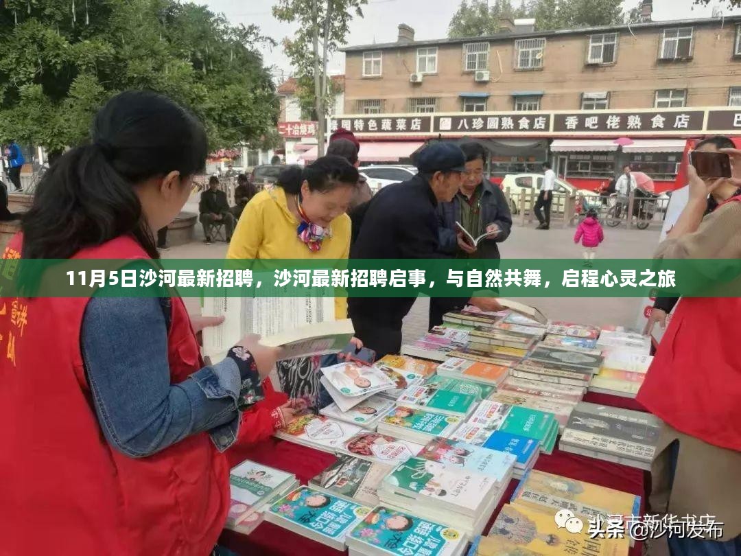 沙河最新招聘启事，与自然共舞，启程心灵之旅招募活动