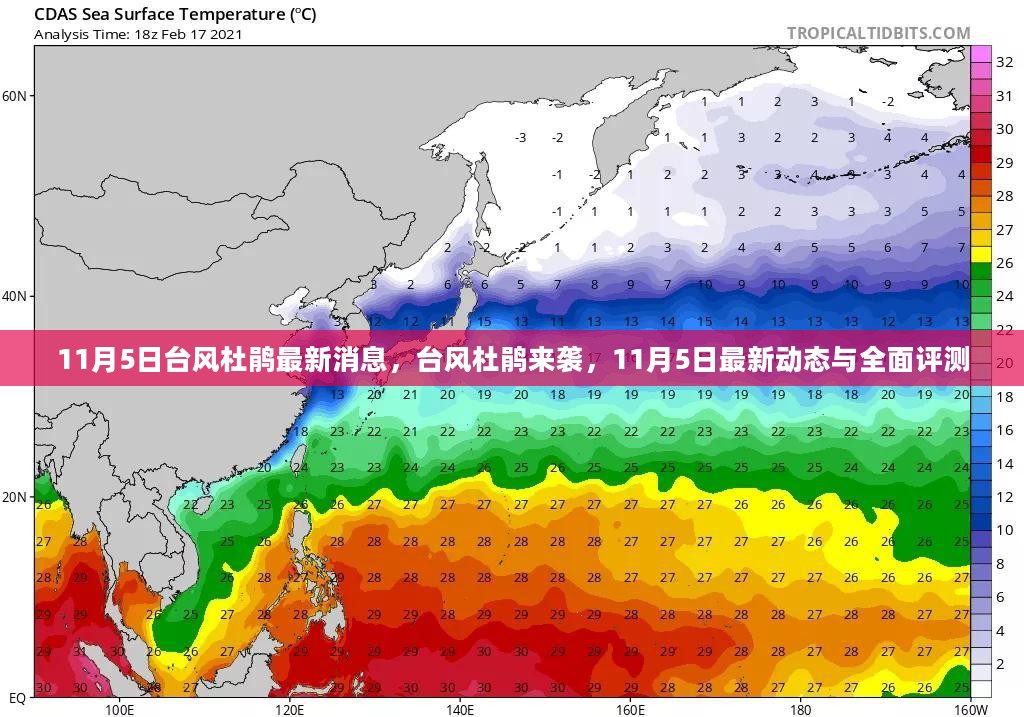 台风杜鹃来袭，最新动态与全面评测（11月5日更新）