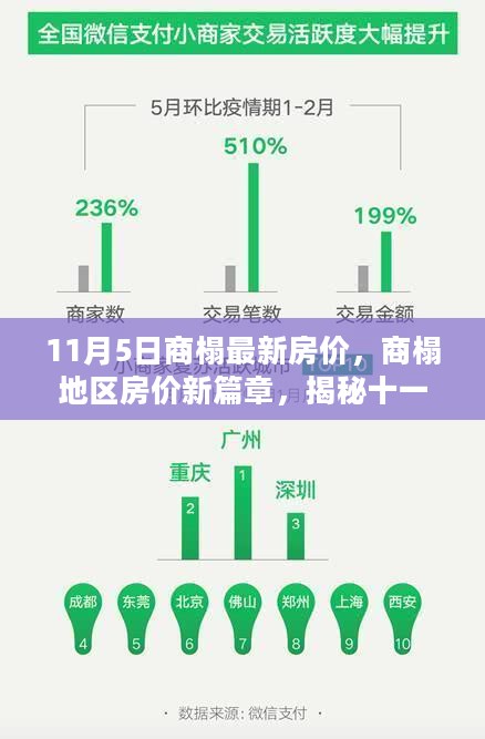 揭秘商榻地区最新房价动态，揭秘十一月五日最新动态背后的故事