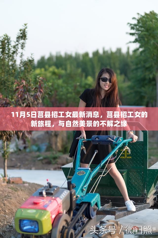 莒县招工女最新动态，与自然美景的不解之缘的求职新旅程