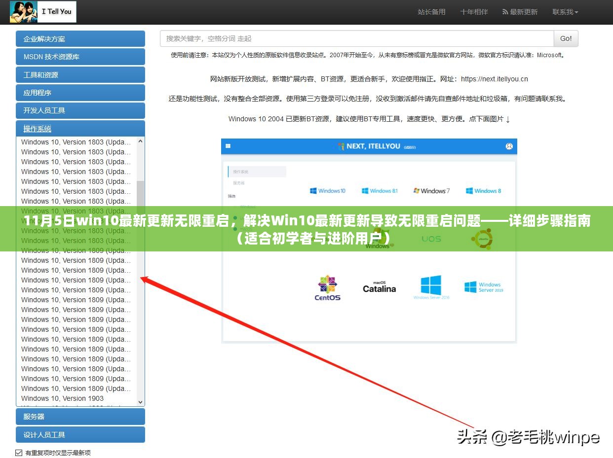 Win10 11月5日更新导致无限重启解决方案，初学者与进阶用户指南