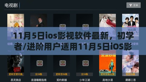 11月5日iOS影视软件使用指南，初学者与进阶用户必备