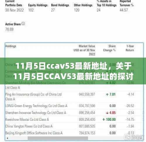 盈利行业视角下的探讨，11月5日CCAV53最新地址揭秘