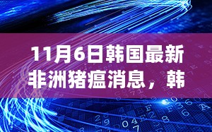 韩国最新非洲猪瘟消息引发的热议与观点探析