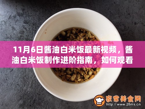 11月6日酱油白米饭制作进阶指南，观看与理解最新视频，提升烹饪技能