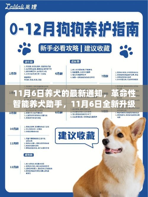 革命性智能养犬助手全新升级，引领科技养犬新时代，11月6日最新通知解读