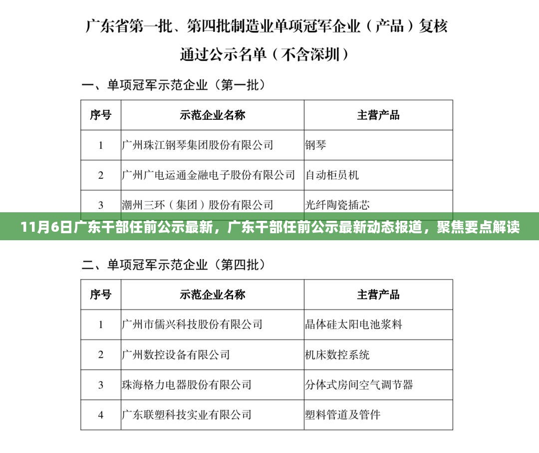 广东干部任前公示最新动态，聚焦解读新任干部任命报道