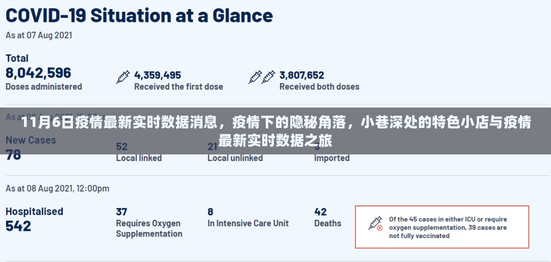 疫情下的隐秘角落，小巷特色小店与实时数据之旅的最新报道