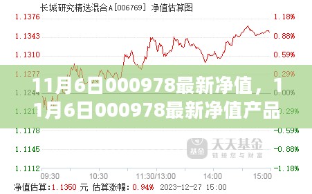 11月6日000978最新净值产品全面评测与介绍