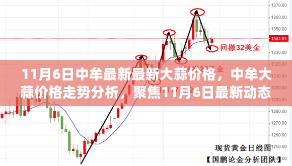 11月6日中牟大蒜价格最新动态及走势分析，多元观点聚焦