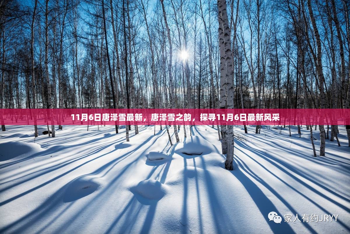 探寻唐泽雪之韵，最新风采展现