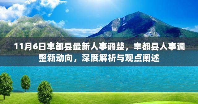 丰都县人事调整最新动态，深度解析与观点阐述（11月6日更新）