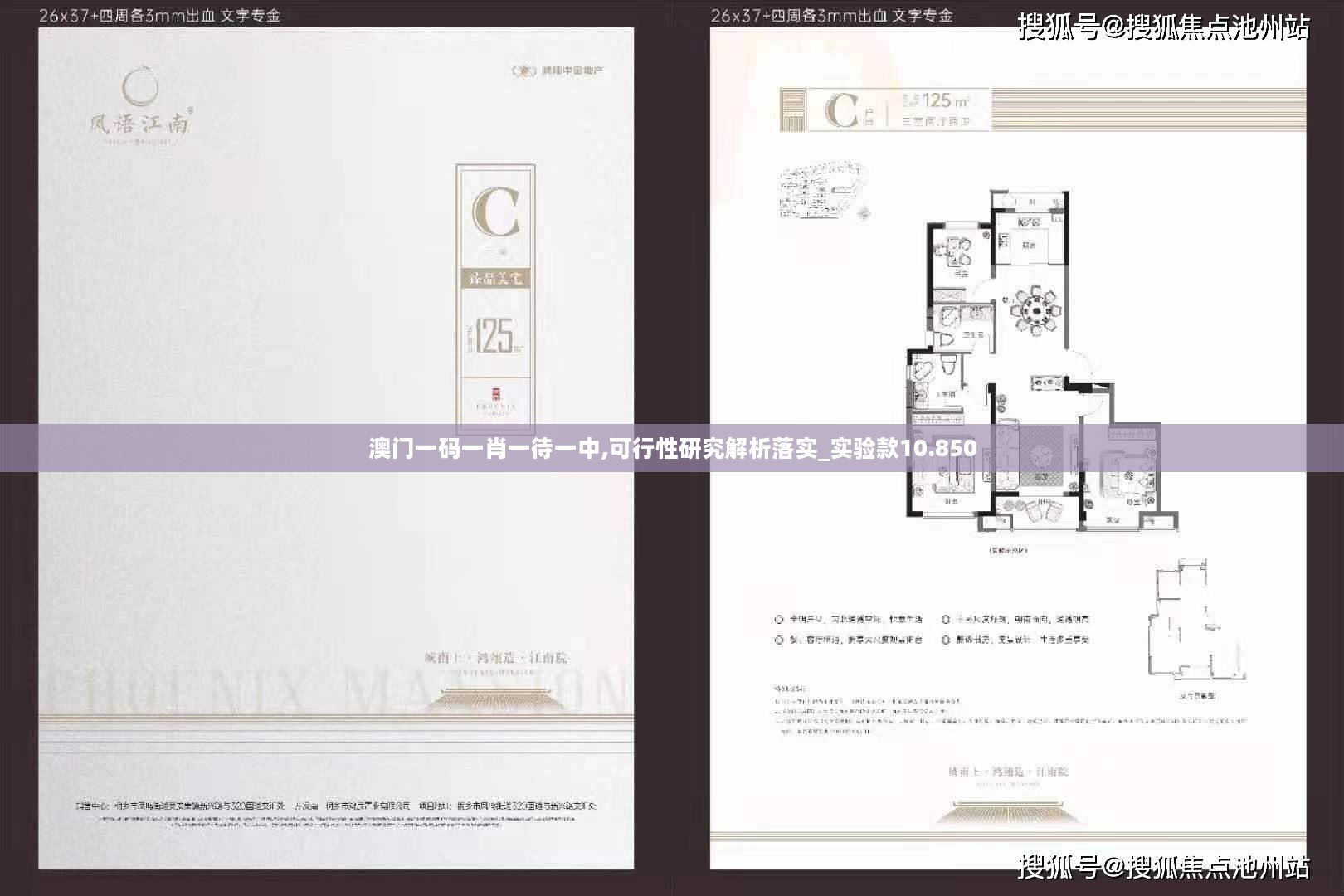 澳门一码一肖一待一中,可行性研究解析落实_实验款10.850