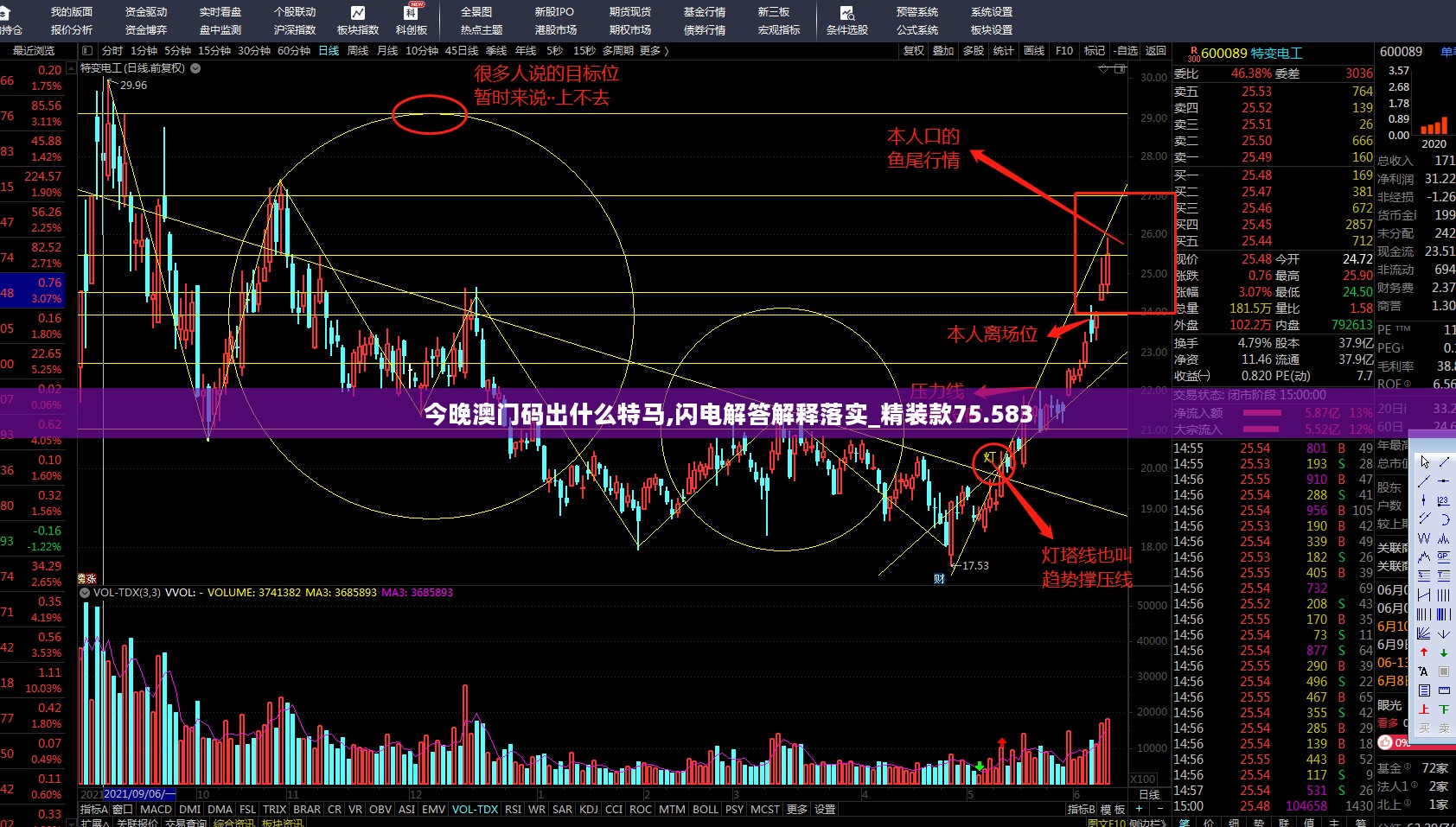 今晚澳门码出什么特马,闪电解答解释落实_精装款75.583