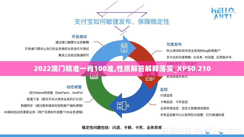 2022澳门精准一肖100准,性质解答解释落实_XP50.210