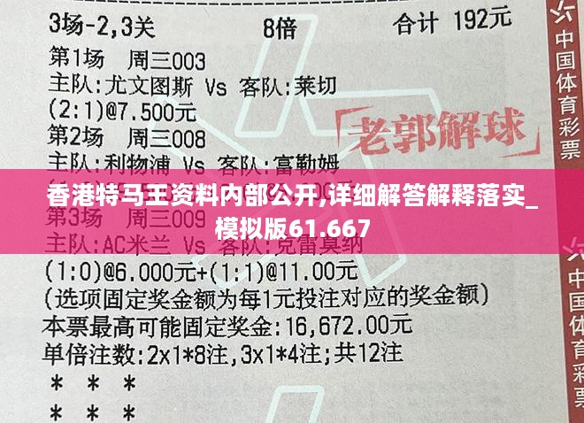 香港特马王资料内部公开,详细解答解释落实_模拟版61.667