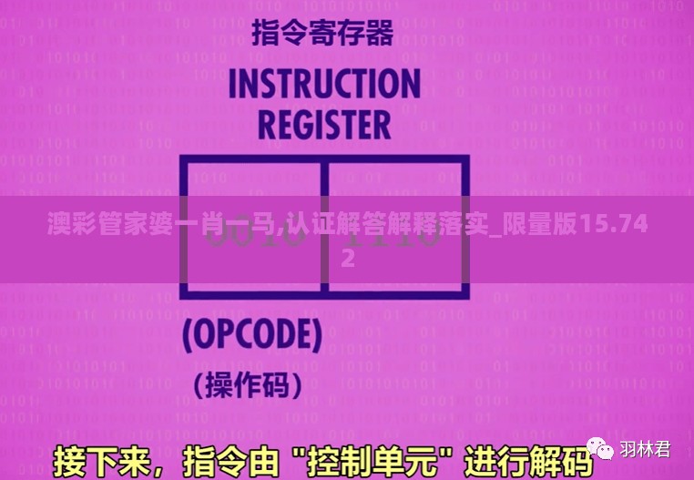 澳彩管家婆一肖一马,认证解答解释落实_限量版15.742