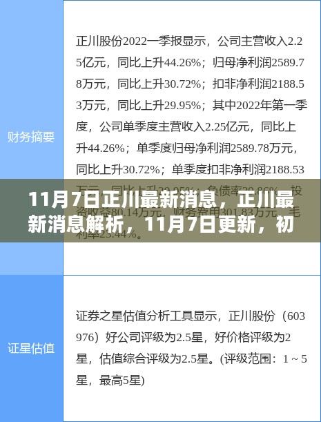 11月7日正川最新消息解析与操作指南，初学者到进阶用户的必备资讯