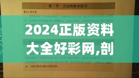 2024正版资料大全好彩网,剖析热点解释落实_银行集71.396