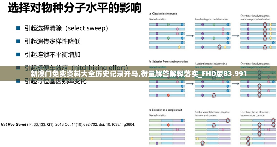 新澳门免费资料大全历史记录开马,衡量解答解释落实_FHD版83.991