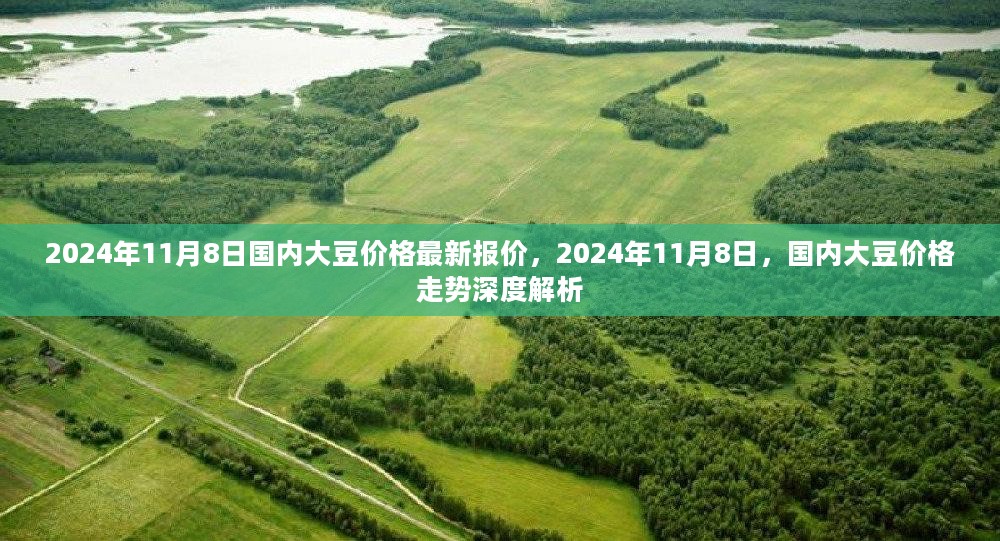 2024年11月8日国内大豆价格最新动态与深度解析