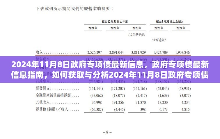 2024年政府专项债最新信息指南，获取与分析策略