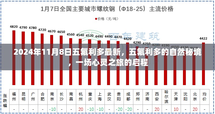 五氟利多的自然秘境之旅，心灵之旅启程的启示（2024年11月8日最新资讯）