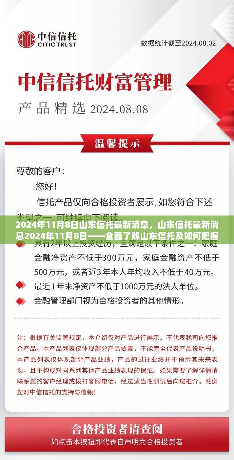 山东信托最新消息解读，把握机遇，全面了解山东信托发展动态（2024年11月8日）