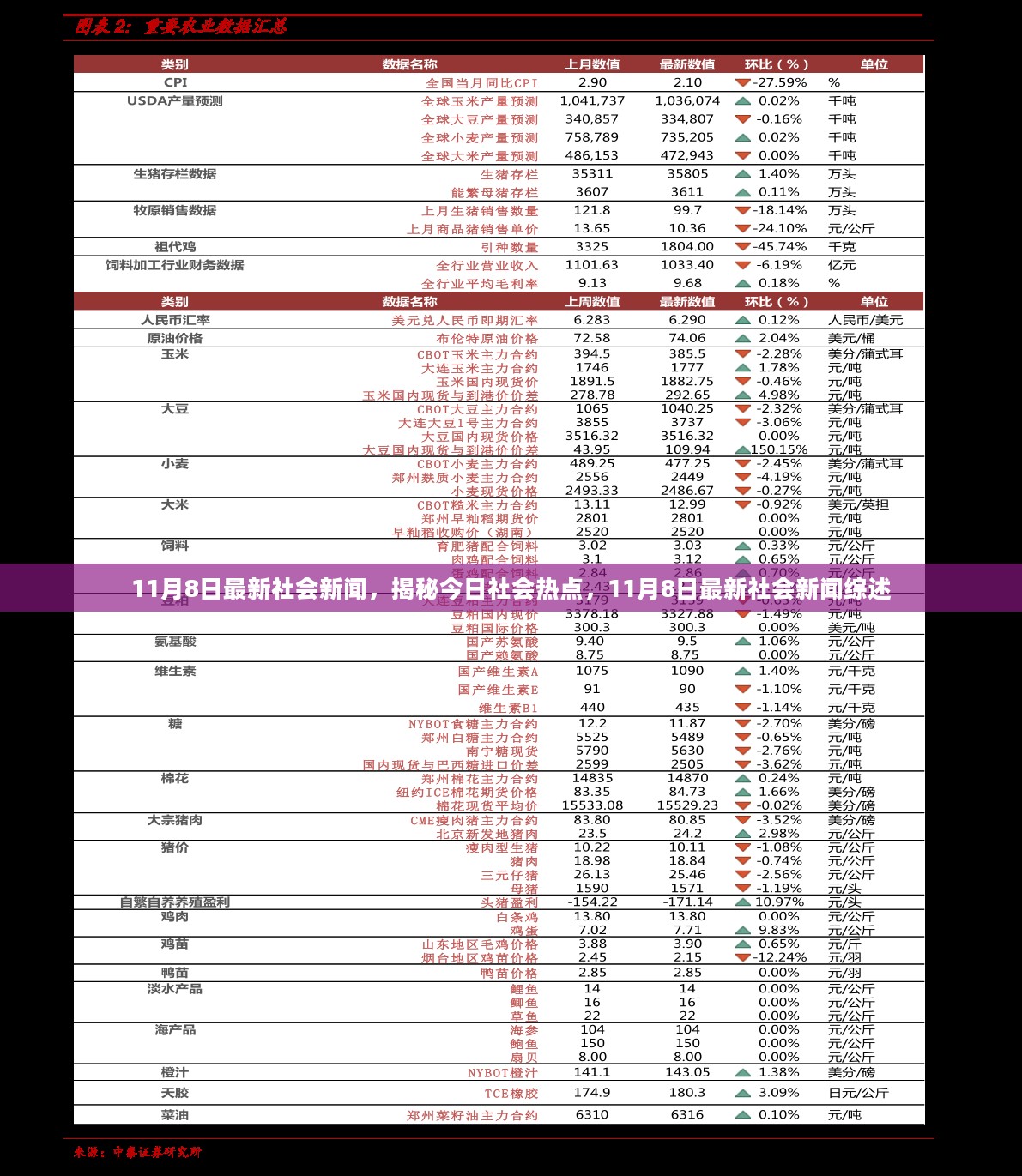 揭秘今日社会热点，最新社会新闻综述（11月8日）