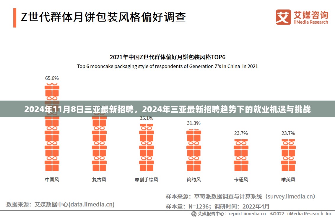 2024年三亚最新招聘趋势下的就业机遇与挑战解析