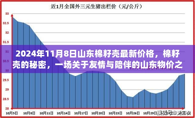 山东棉籽壳最新价格揭秘，一场关于友情与陪伴的物价之旅（2024年11月8日）