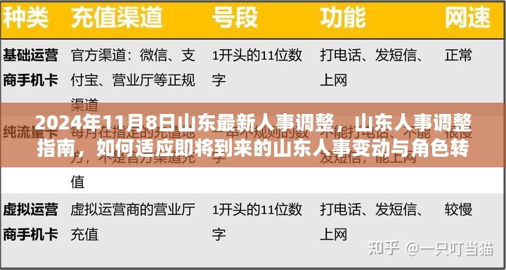 山东人事调整指南，如何适应即将到来的角色转变与人事变动（初学者与进阶用户篇）