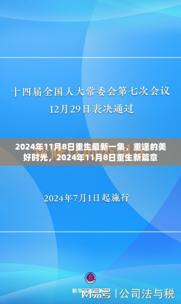 重逢的美好时光，重生新篇章2024年11月8日