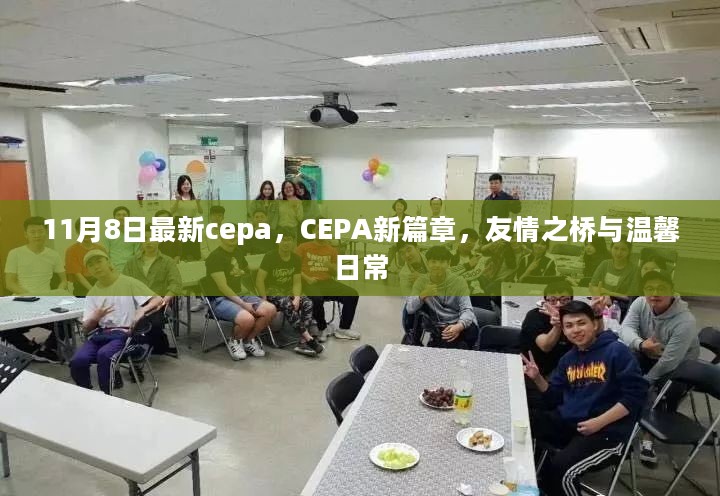 CEPA新篇章，友情之桥的温馨日常（11月8日最新）