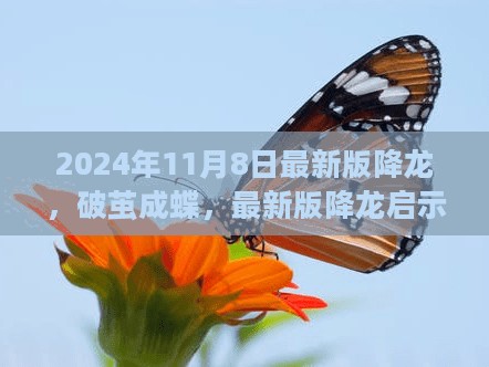 最新版降龙启示下的自信与成长之旅，破茧成蝶的旅程（2024年11月8日）