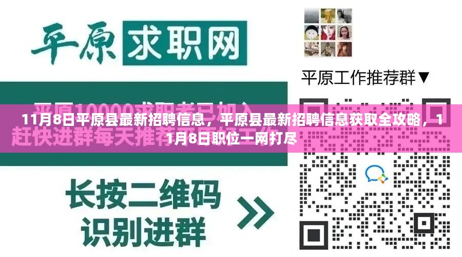 平原县最新招聘信息全攻略，11月8日职位一网打尽