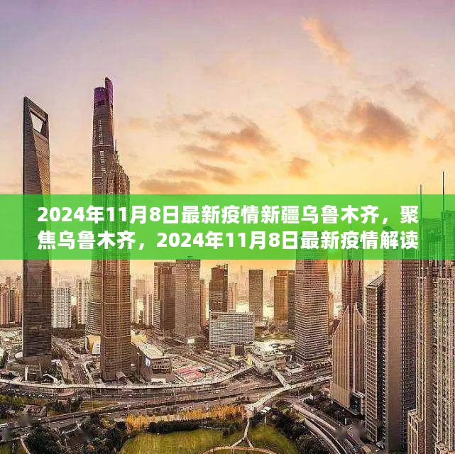 聚焦乌鲁木齐，解读最新疫情动态，新疆乌鲁木齐疫情报告（2024年11月8日）