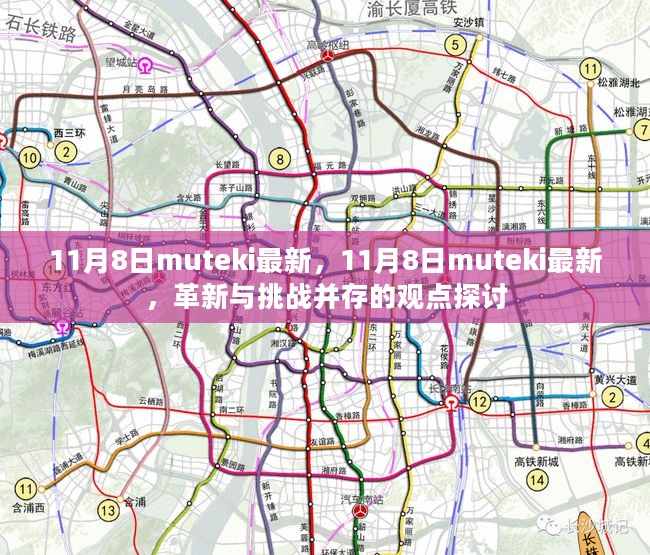 11月8日muteki最新，革新与挑战并存的观点深度探讨