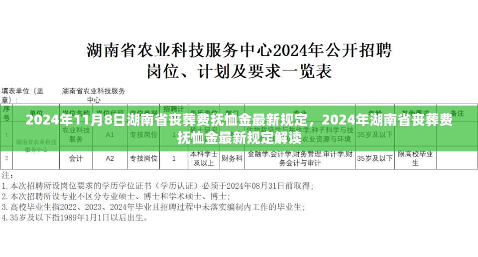 2024年湖南省丧葬费抚恤金最新规定解读