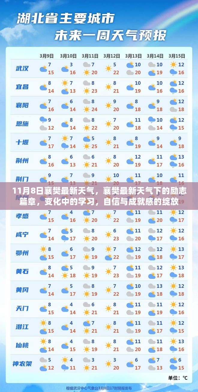 11月8日襄樊天气下的励志篇章，变化中的学习与自信成就感的绽放