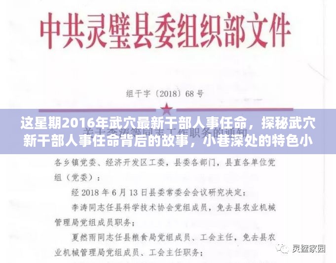 揭秘武穴干部人事任命背后的故事，小巷深处的特色小店与最新任命动态