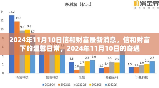 信和财富最新动态，温馨日常与奇遇的交汇点 2024年11月10日更新消息