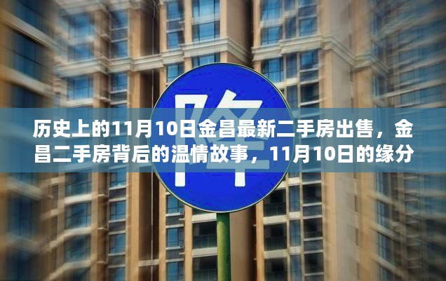 金昌二手房背后的温情故事，11月10日的缘分际遇与最新房源出售