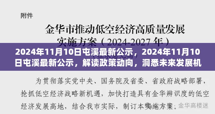 2024年11月10日 第43页