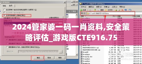 2024管家婆一码一肖资料,安全策略评估_游戏版CTE916.75